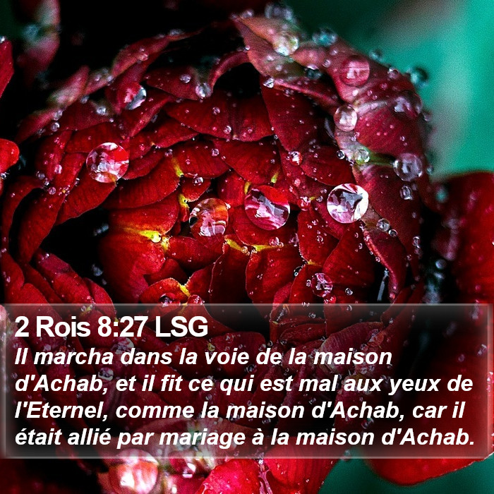 2 Rois 8:27 LSG Bible Study