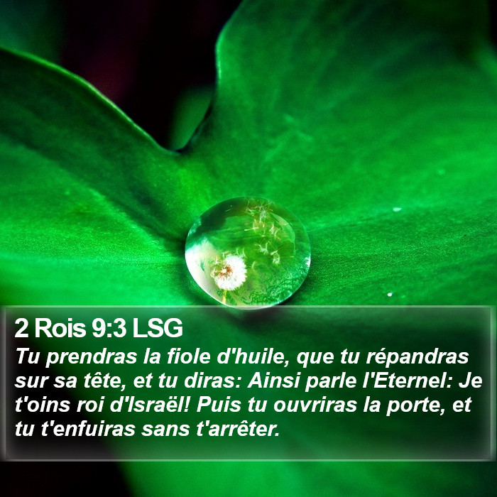 2 Rois 9:3 LSG Bible Study
