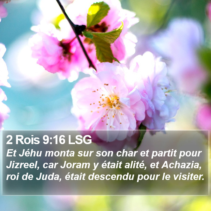 2 Rois 9:16 LSG Bible Study