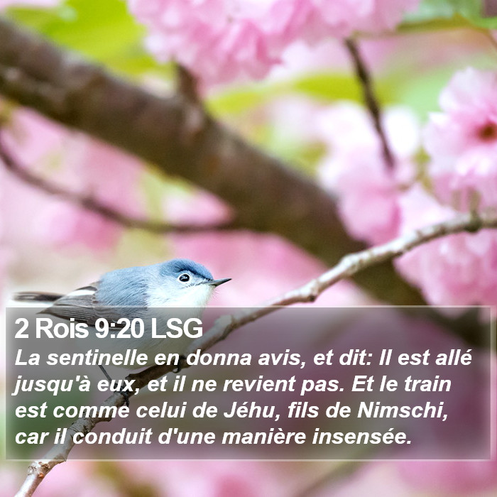 2 Rois 9:20 LSG Bible Study
