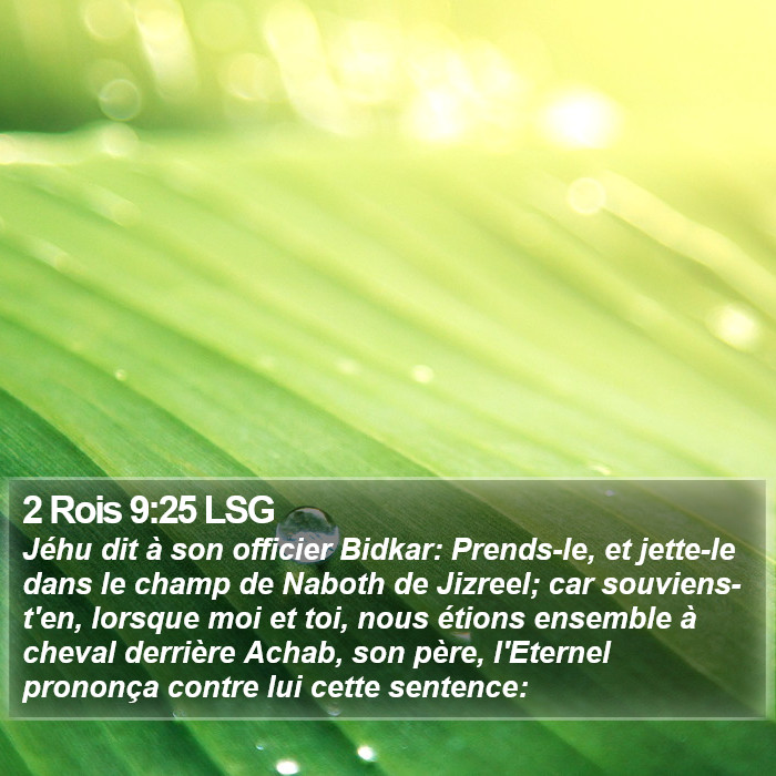 2 Rois 9:25 LSG Bible Study