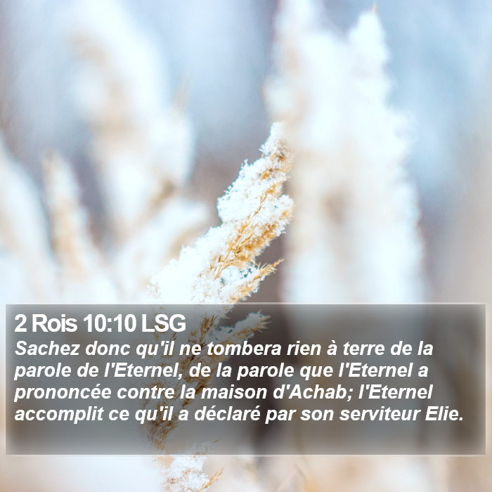 2 Rois 10:10 LSG Bible Study