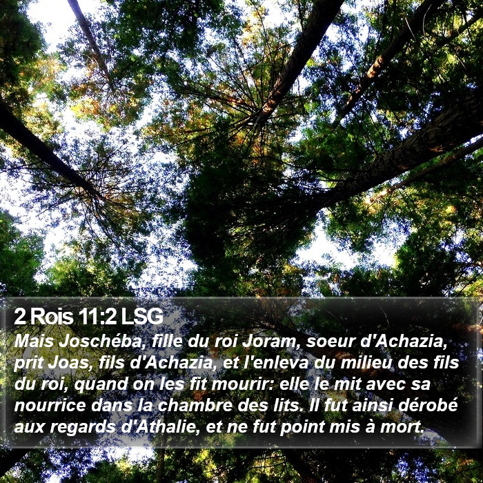 2 Rois 11:2 LSG Bible Study