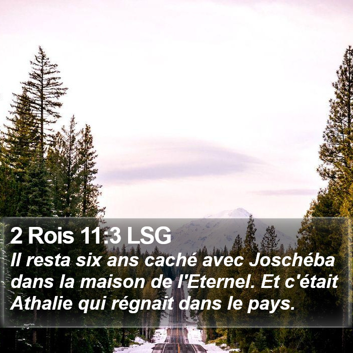 2 Rois 11:3 LSG Bible Study