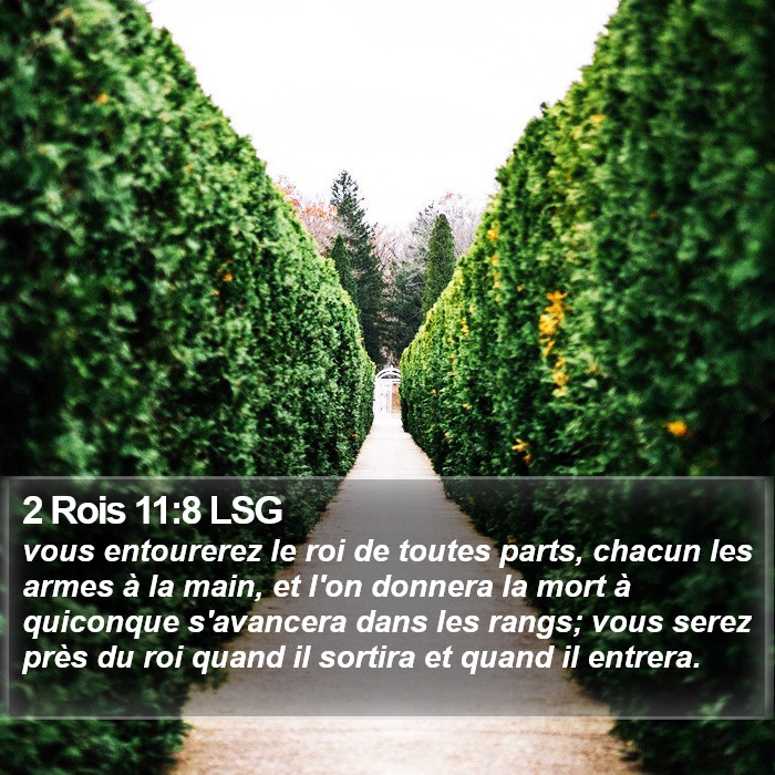 2 Rois 11:8 LSG Bible Study