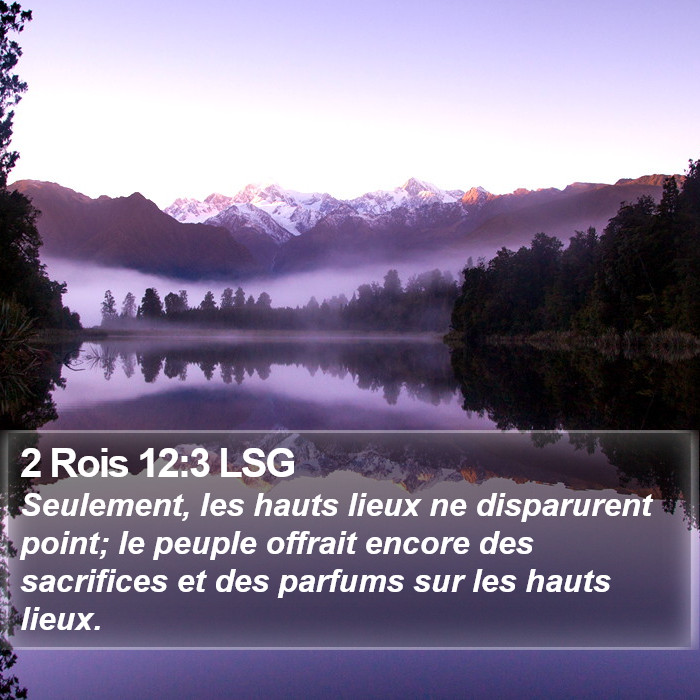 2 Rois 12:3 LSG Bible Study