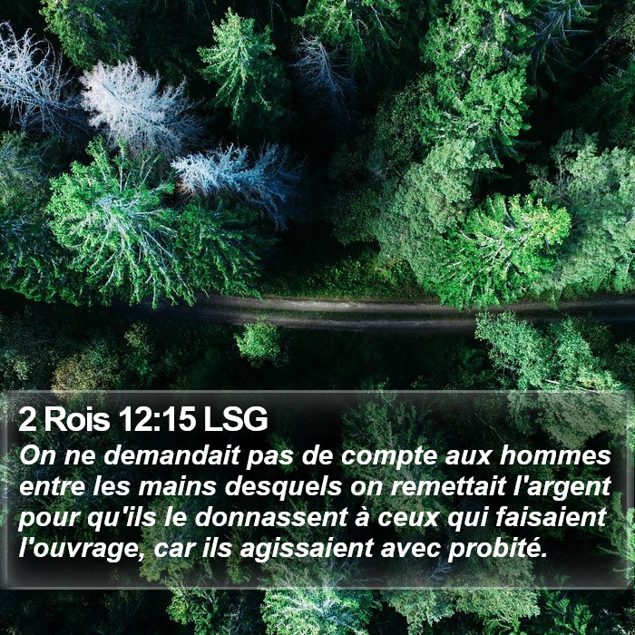 2 Rois 12:15 LSG Bible Study