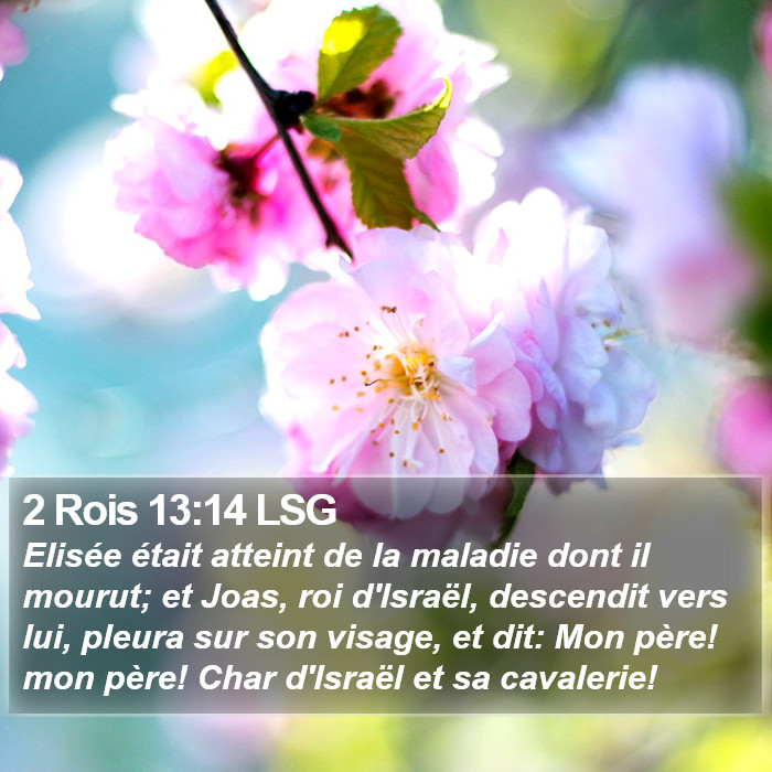 2 Rois 13:14 LSG Bible Study