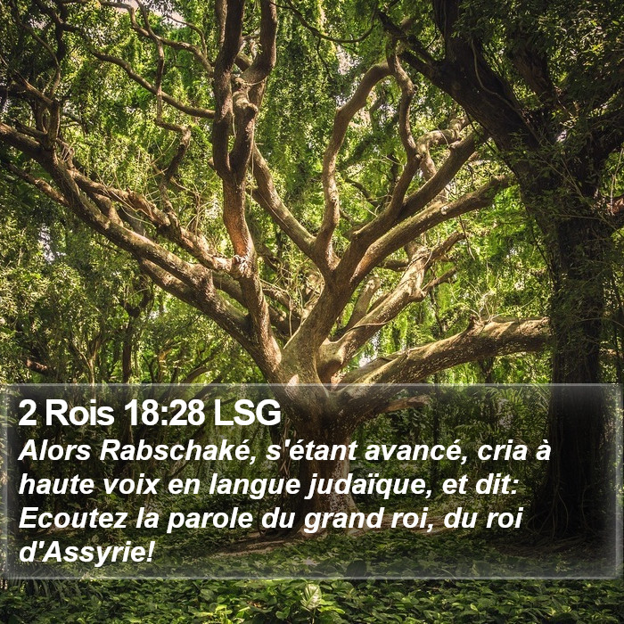 2 Rois 18:28 LSG Bible Study