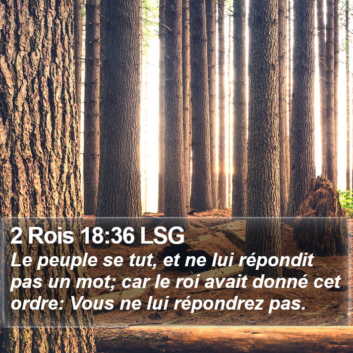 2 Rois 18:36 LSG Bible Study