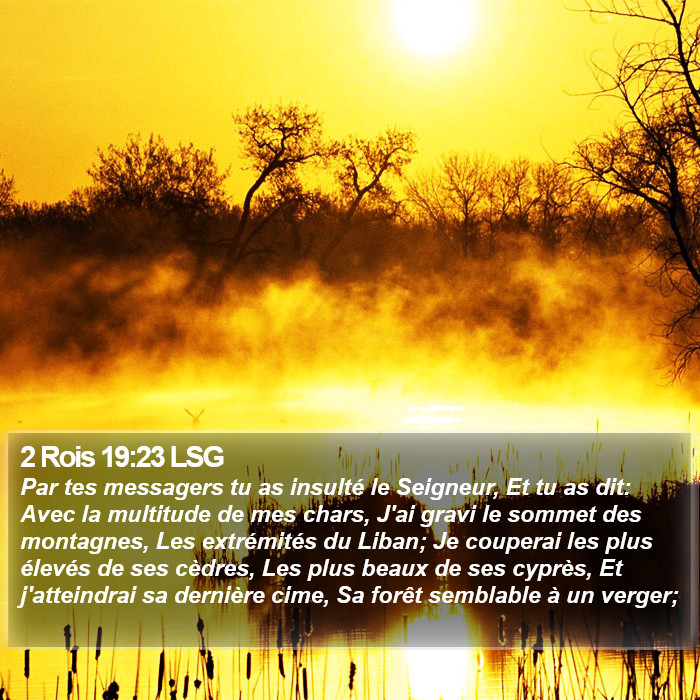 2 Rois 19:23 LSG Bible Study