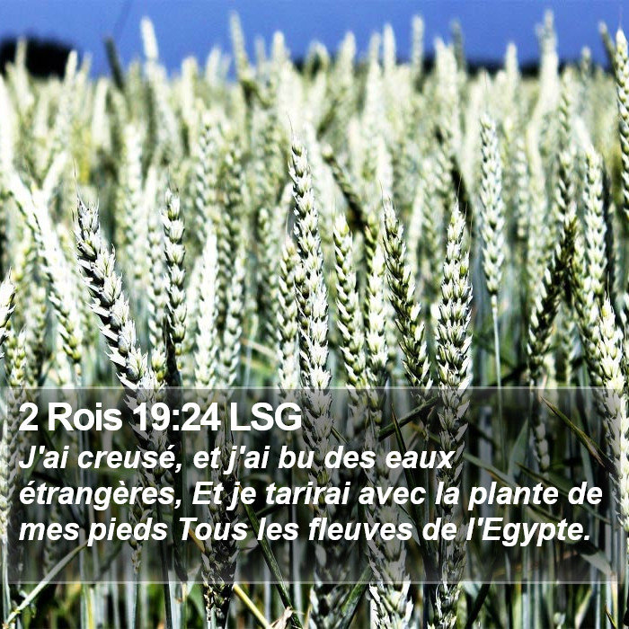 2 Rois 19:24 LSG Bible Study