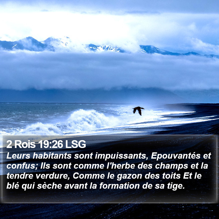2 Rois 19:26 LSG Bible Study