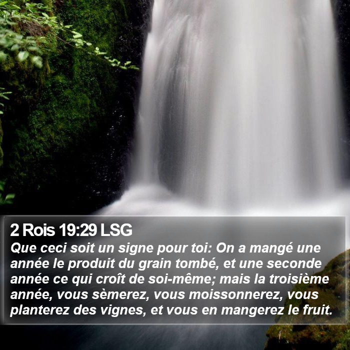 2 Rois 19:29 LSG Bible Study