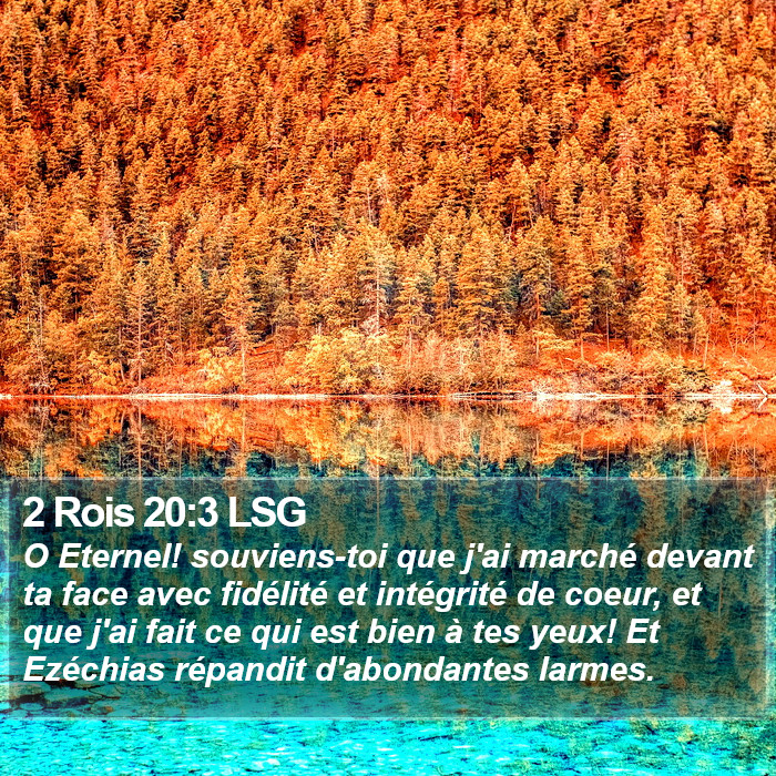 2 Rois 20:3 LSG Bible Study