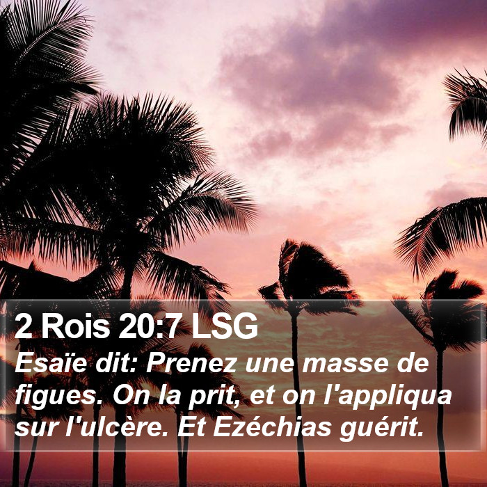 2 Rois 20:7 LSG Bible Study