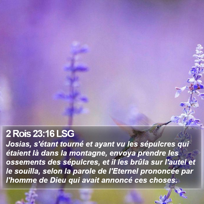 2 Rois 23:16 LSG Bible Study