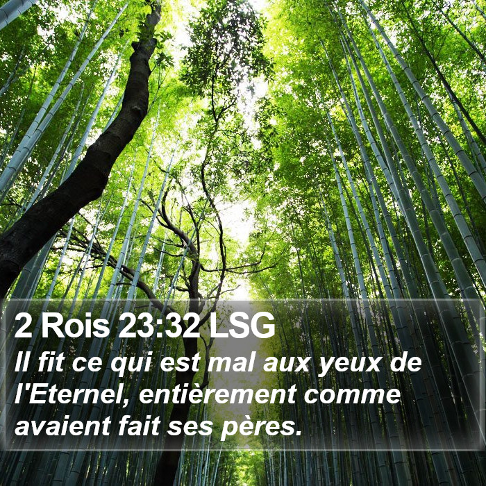 2 Rois 23:32 LSG Bible Study