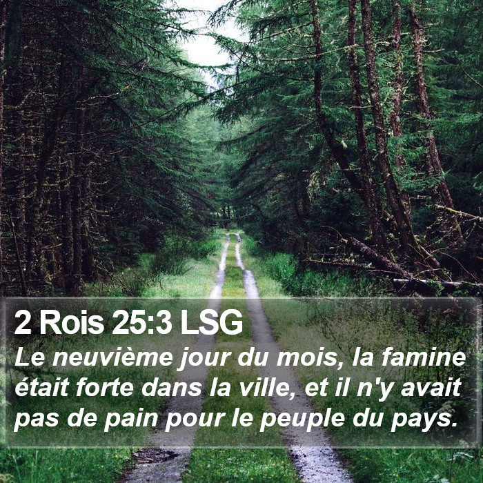 2 Rois 25:3 LSG Bible Study