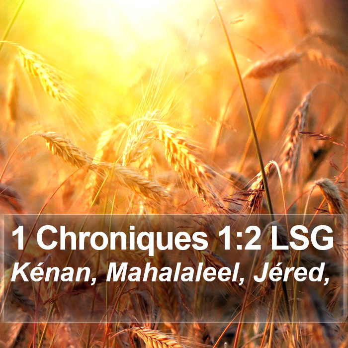 1 Chroniques 1:2 LSG Bible Study