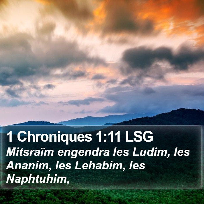 1 Chroniques 1:11 LSG Bible Study