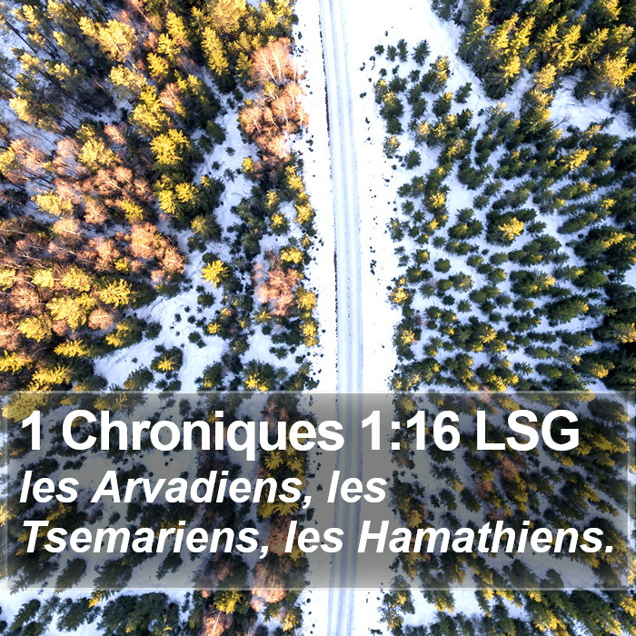 1 Chroniques 1:16 LSG Bible Study