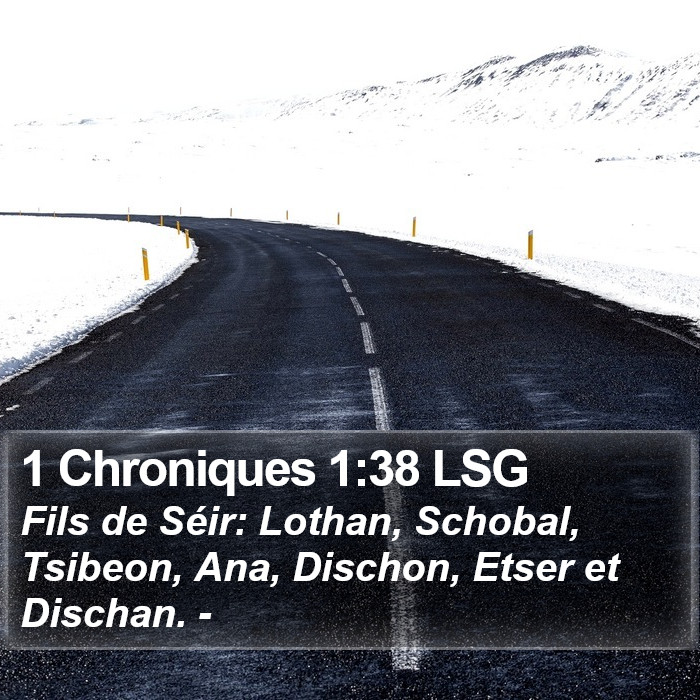 1 Chroniques 1:38 LSG Bible Study