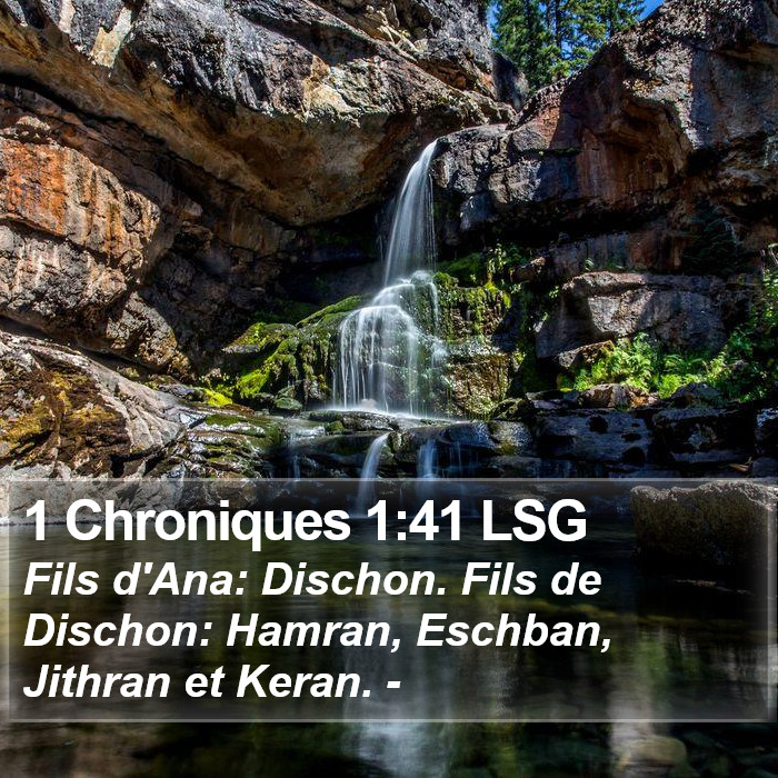 1 Chroniques 1:41 LSG Bible Study