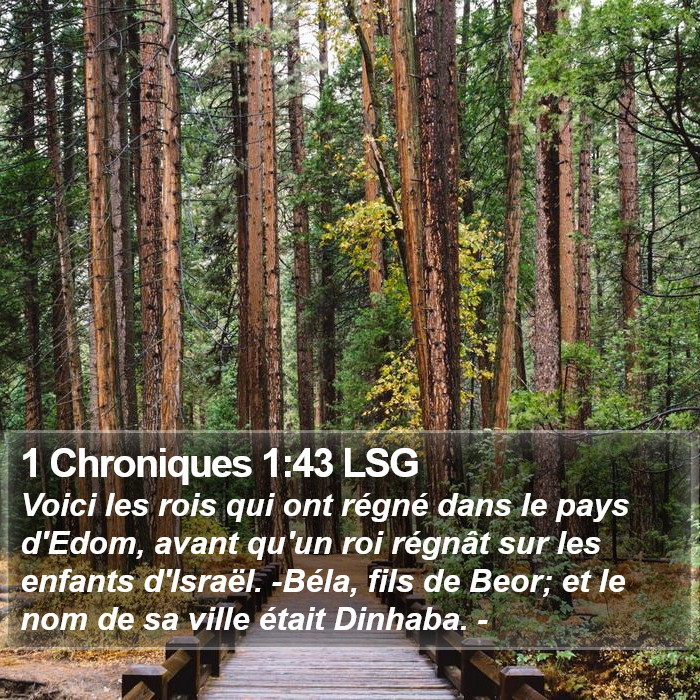 1 Chroniques 1:43 LSG Bible Study