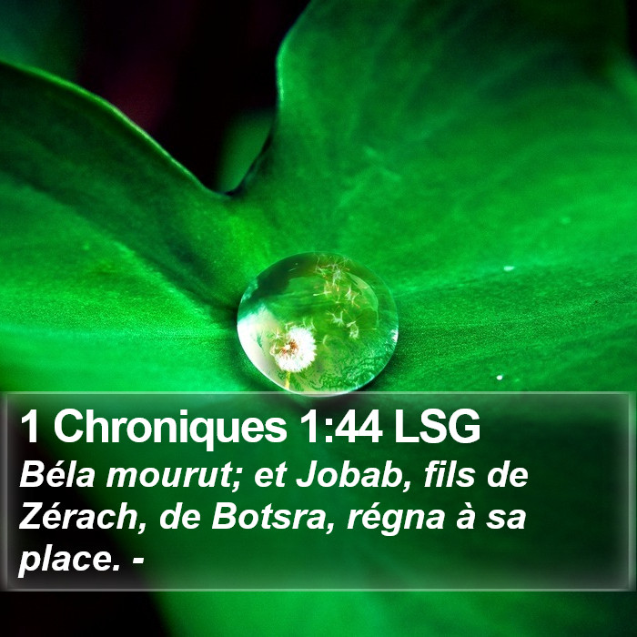 1 Chroniques 1:44 LSG Bible Study