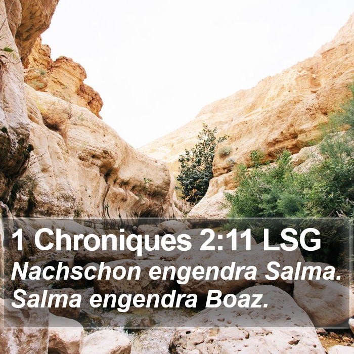 1 Chroniques 2:11 LSG Bible Study