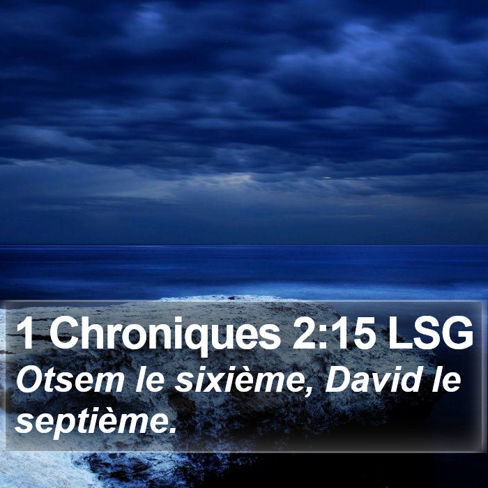1 Chroniques 2:15 LSG Bible Study