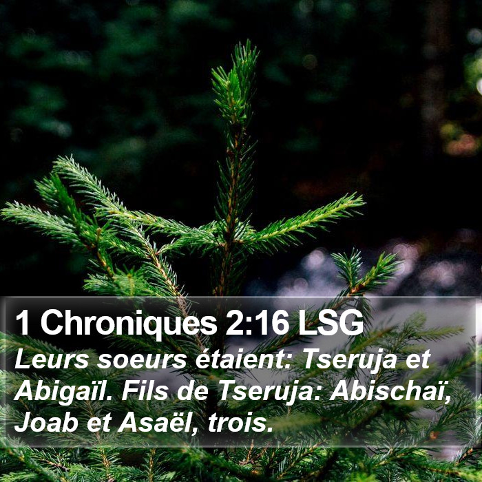 1 Chroniques 2:16 LSG Bible Study