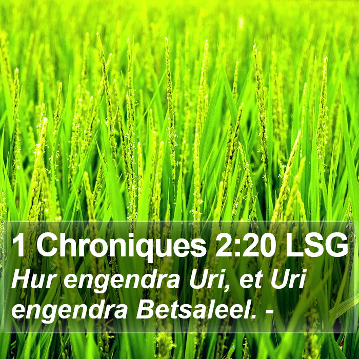 1 Chroniques 2:20 LSG Bible Study