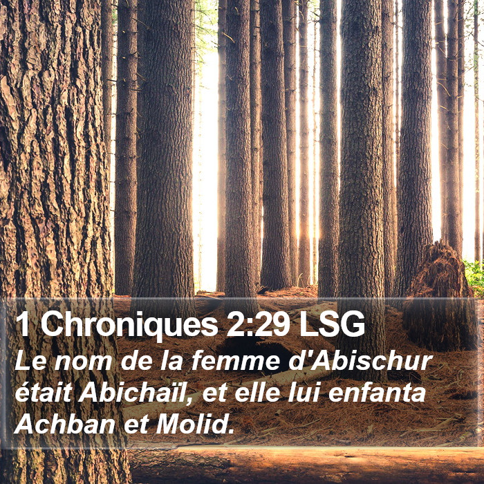 1 Chroniques 2:29 LSG Bible Study