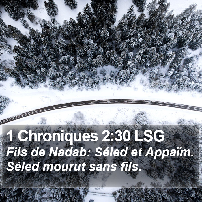 1 Chroniques 2:30 LSG Bible Study