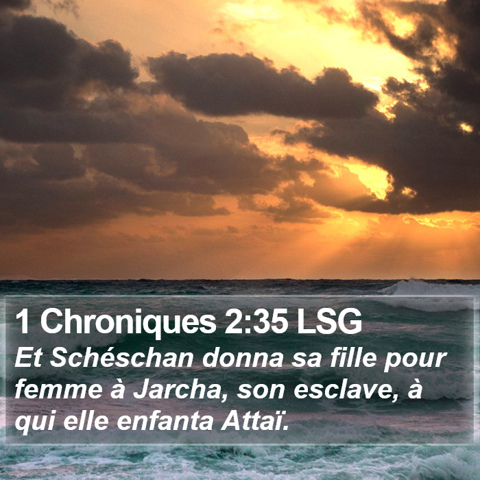 1 Chroniques 2:35 LSG Bible Study
