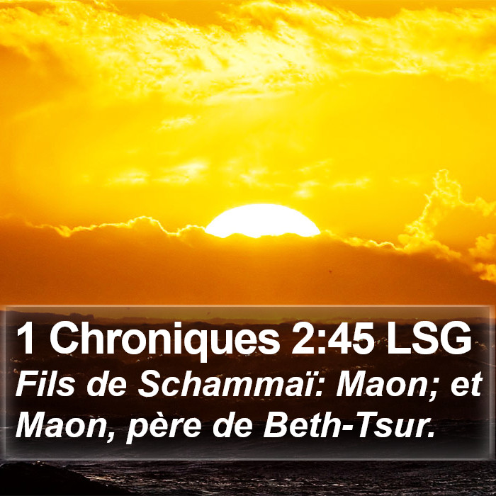 1 Chroniques 2:45 LSG Bible Study
