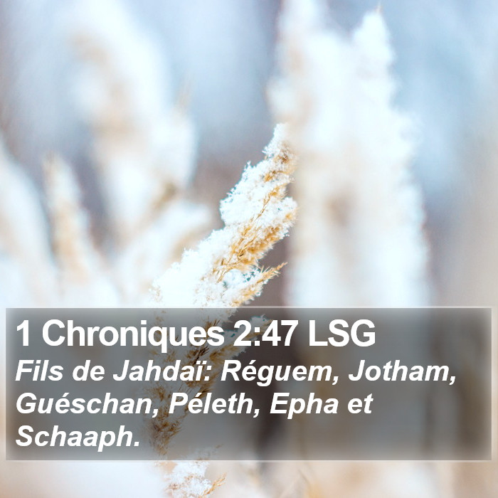 1 Chroniques 2:47 LSG Bible Study