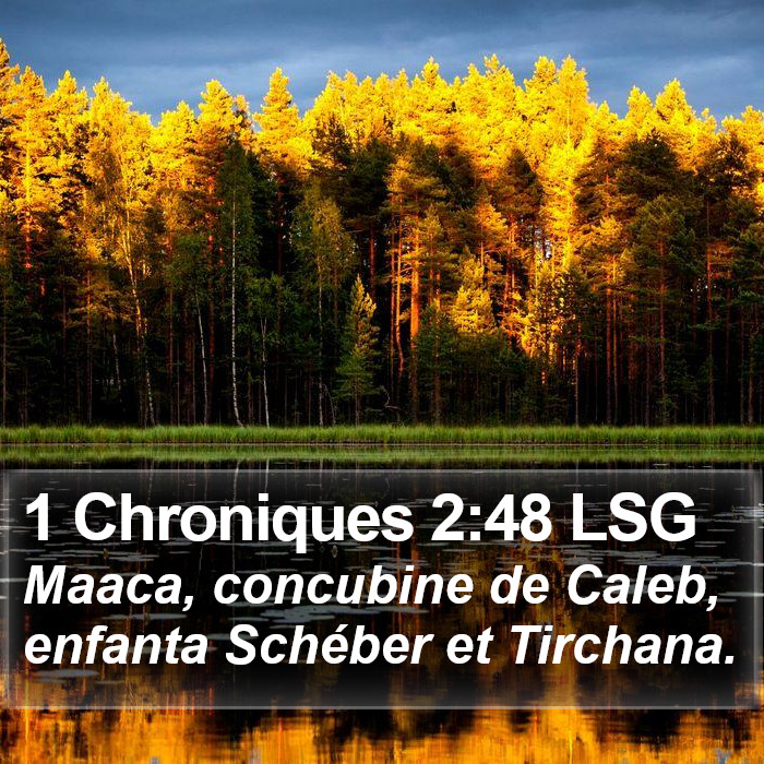 1 Chroniques 2:48 LSG Bible Study