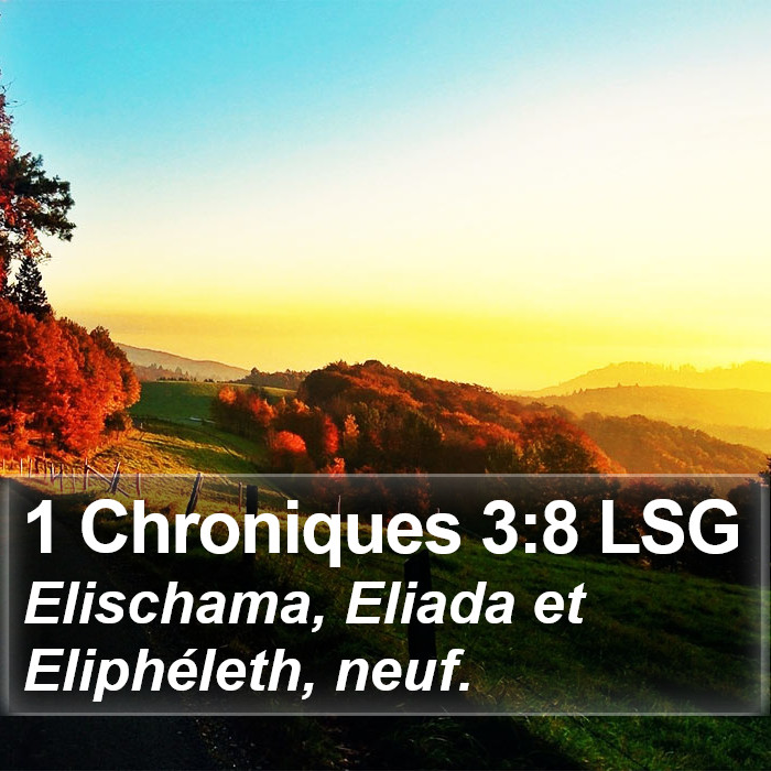 1 Chroniques 3:8 LSG Bible Study