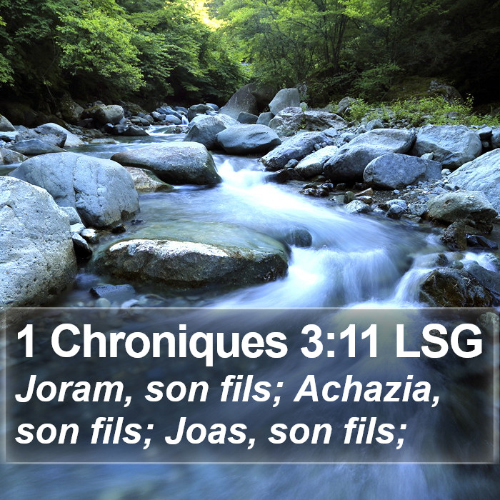 1 Chroniques 3:11 LSG Bible Study