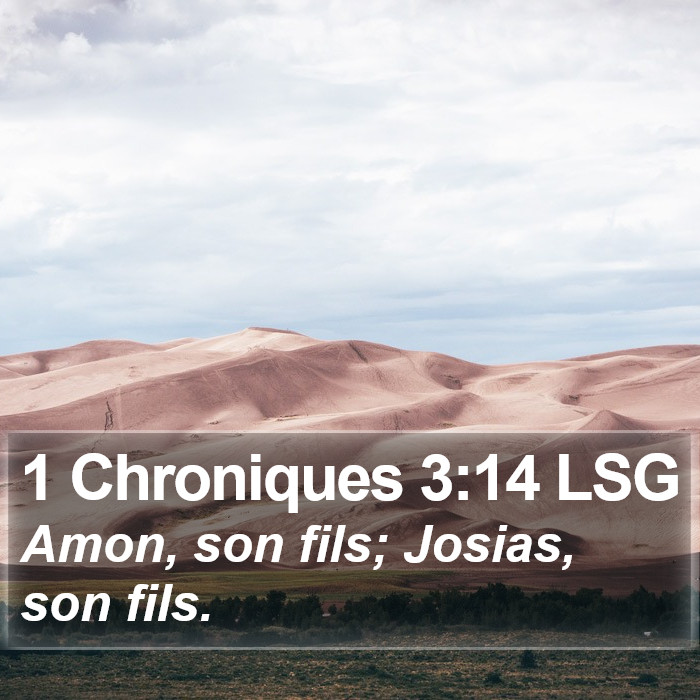 1 Chroniques 3:14 LSG Bible Study