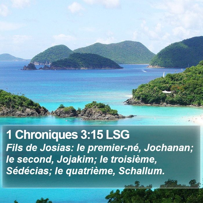 1 Chroniques 3:15 LSG Bible Study