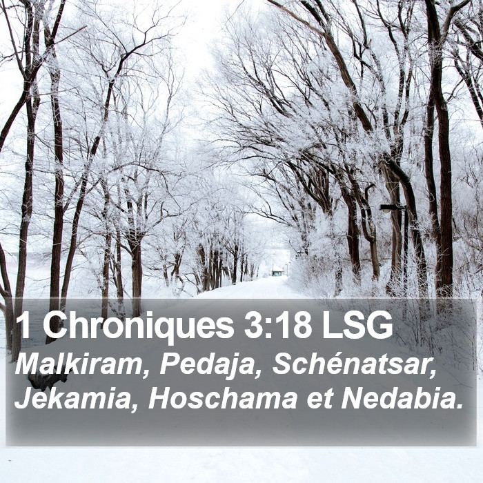 1 Chroniques 3:18 LSG Bible Study