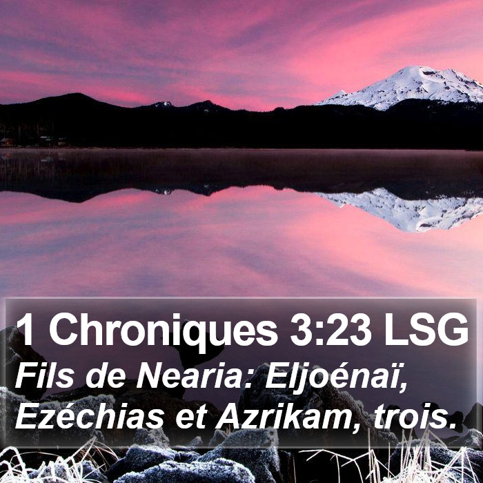 1 Chroniques 3:23 LSG Bible Study