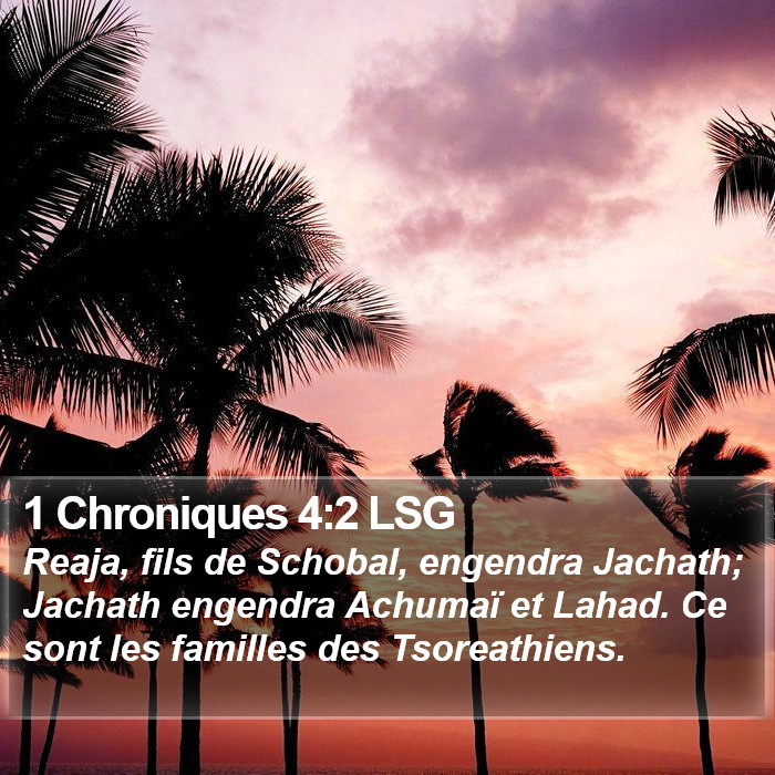 1 Chroniques 4:2 LSG Bible Study