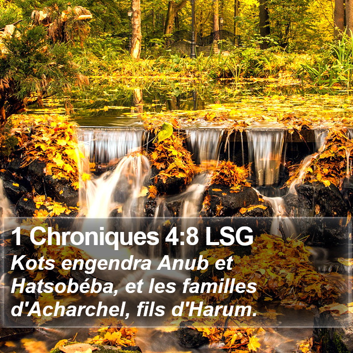 1 Chroniques 4:8 LSG Bible Study