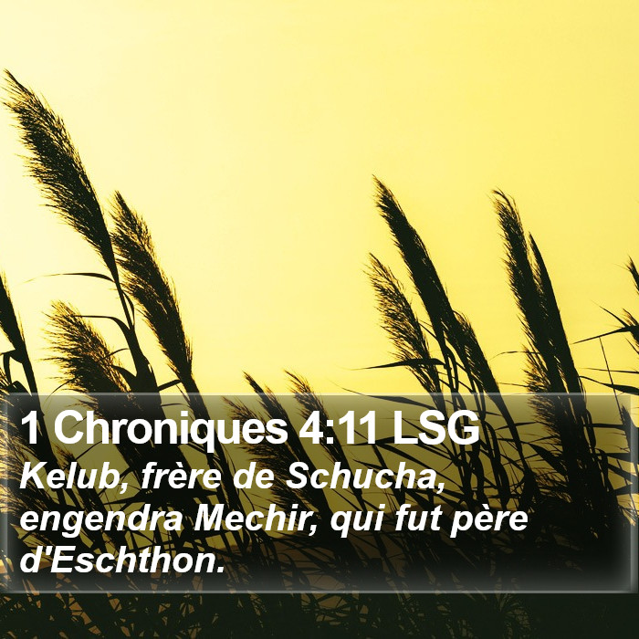 1 Chroniques 4:11 LSG Bible Study