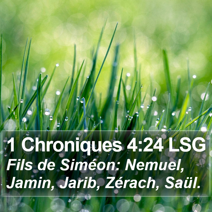 1 Chroniques 4:24 LSG Bible Study